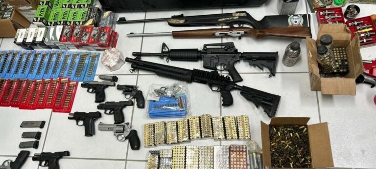 WhatsApp-Image-2024-08-13-at-16.46.13