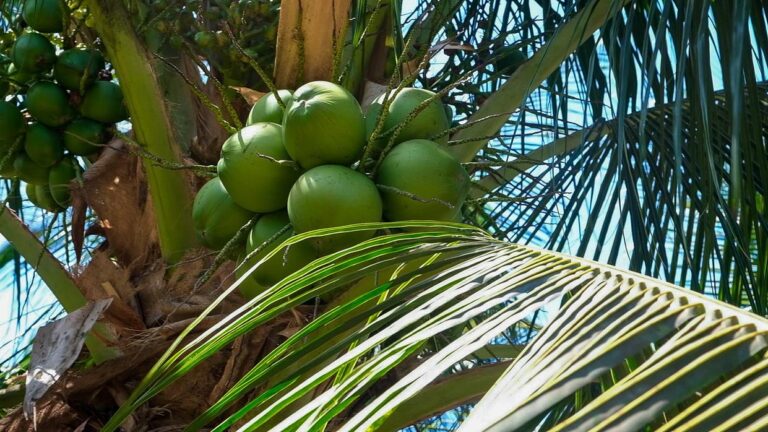 WhatsApp Image 2024-12-05 at 17.42.57 (2)