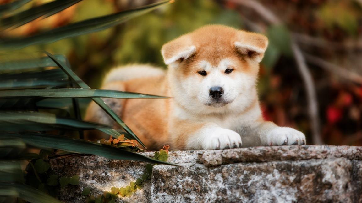 shutterstock_1324908893