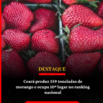 (Foto: Reprodução)