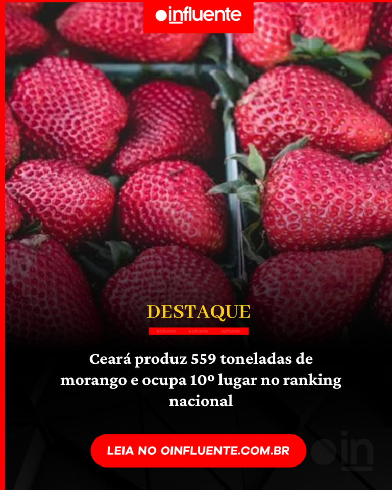 (Foto: Reprodução)