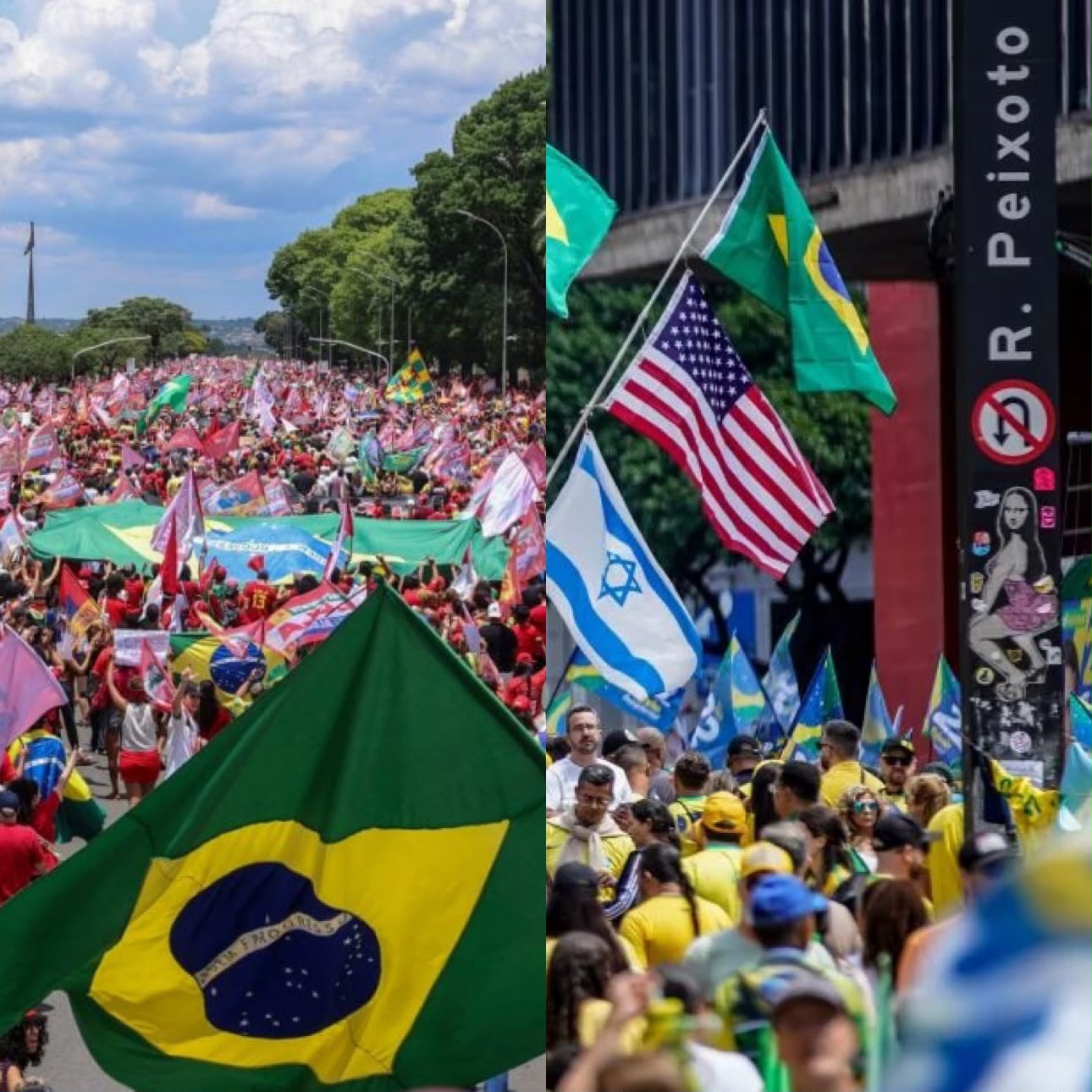 (Foto: Reprodução)